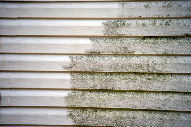 Moving and Downsizing Cleanouts in Langley, WA